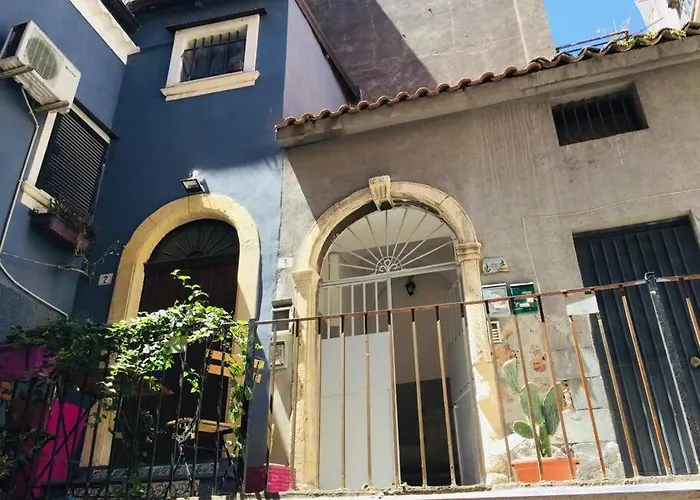 Chicchi\'S House